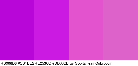 #B906D8 #CB1BE2 #E253CD #DD63CB Colors