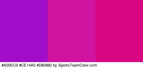 #A00EC9 #CE14A0 #D80882 Colors