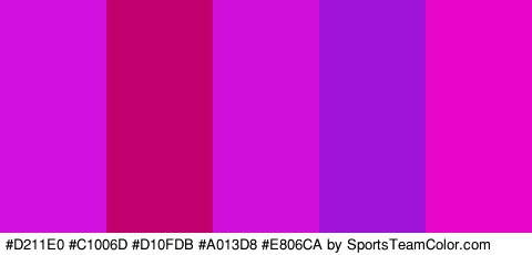 #D211E0 #C1006D #D10FDB #A013D8 #E806CA Colors