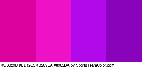 #DB029D #ED12C5 #B209EA #8903BA Colors