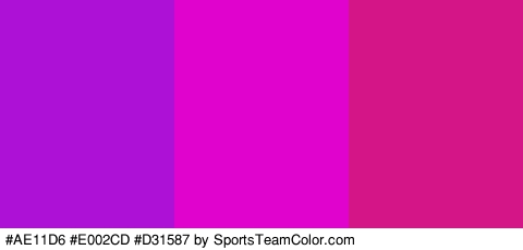 #AE11D6 #E002CD #D31587 Colors