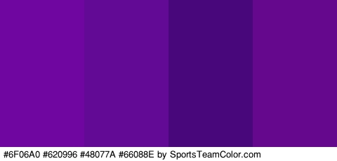 #6F06A0 #620996 #48077A #66088E Colors