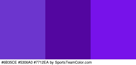 #6B35CE #5306A0 #7712EA Colors