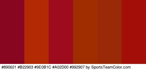 #890621 #B22903 #9E0B1C #A02D00 #992907 #A30E09 Colors