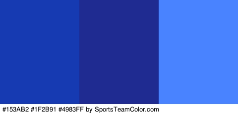 #153AB2 #1F2B91 #4983FF Colors