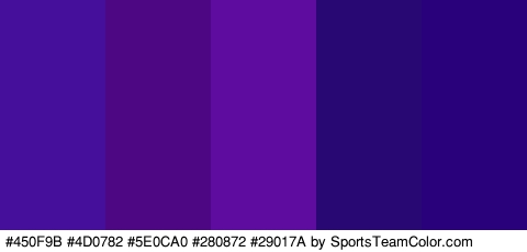 #450F9B #4D0782 #5E0CA0 #280872 #29017A Colors