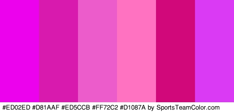 #ED02ED #D81AAF #ED5CCB #FF72C2 #D1087A #DB3AF4 Colors