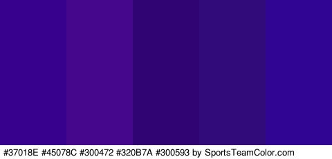 #37018E #45078C #300472 #320B7A #300593 Colors