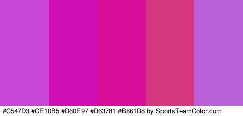 #C547D3 #CE10B5 #D60E97 #D63781 #B861D8 Colors