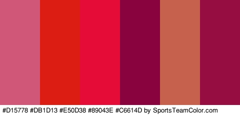 #D15778 #DB1D13 #E50D38 #89043E #C6614D #960D42 Colors