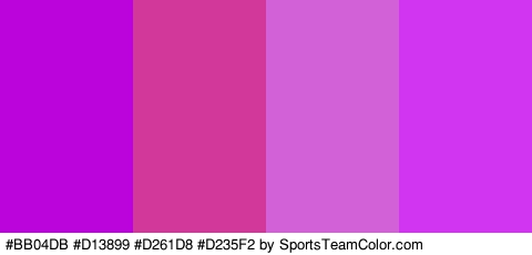 #BB04DB #D13899 #D261D8 #D235F2 Colors