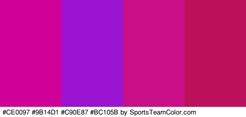 #CE0097 #9B14D1 #C90E87 #BC105B Colors