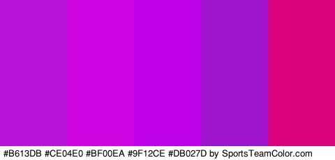 #B613DB #CE04E0 #BF00EA #9F12CE #DB027D Colors