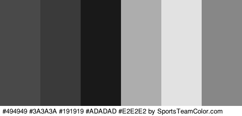 #494949 #3A3A3A #191919 #ADADAD #E2E2E2 #878787 Colors