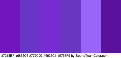 #7215BF #6835C6 #772CD3 #6936C1 #9766F9 #5A119B Colors