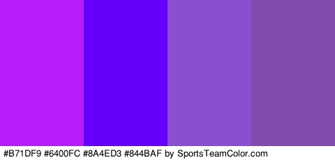 #B71DF9 #6400FC #8A4ED3 #844BAF Colors