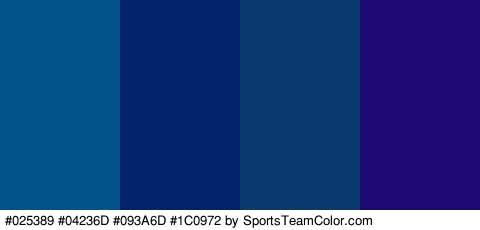 #025389 #04236D #093A6D #1C0972 Colors