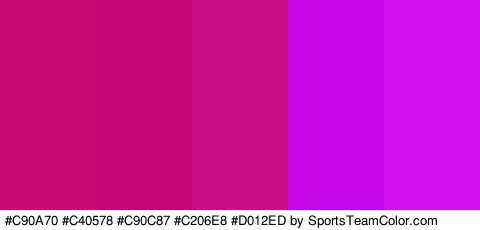 #C90A70 #C40578 #C90C87 #C206E8 #D012ED Colors