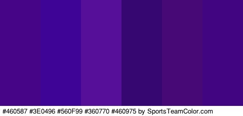 #460587 #3E0496 #560F99 #360770 #460975 #410582 Colors