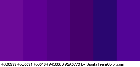 #6B0999 #5E0091 #500184 #45006B #2A0770 #520496 Colors