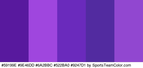 #59199E #9E46DD #6A2BBC #522BA0 #9247D1 Colors