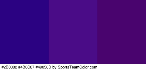 #2B0382 #4B0C87 #49056D Colors