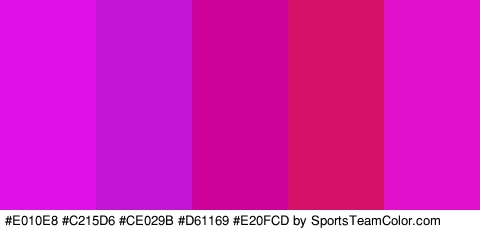 #E010E8 #C215D6 #CE029B #D61169 #E20FCD Colors