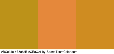 #BC9318 #E5883B #CE8C21 Colors