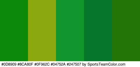 #0D8909 #8CA80F #0F962C #04752A #247507 Colors