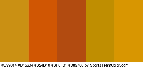 #C99014 #D15604 #B24B10 #BF8F01 #D89700 Colors