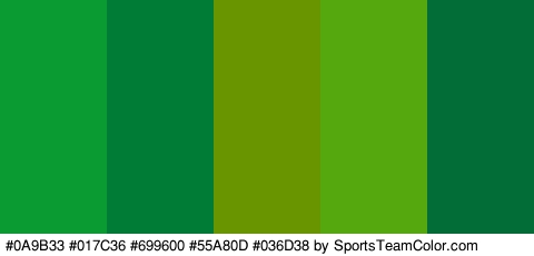 #0A9B33 #017C36 #699600 #55A80D #036D38 Colors