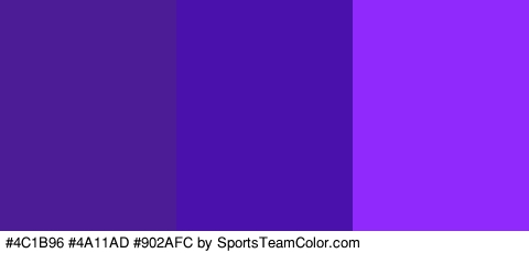 #4C1B96 #4A11AD #902AFC Colors