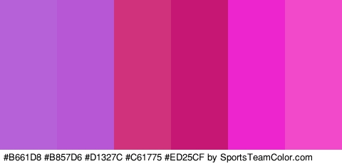 #B661D8 #B857D6 #D1327C #C61775 #ED25CF #F248CA Colors