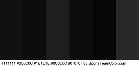 #111111 #0C0C0C #1E1E1E #0C0C0C #070707 #282828 Colors