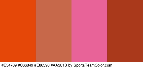 #E54709 #C66849 #E86398 #AA381B Colors