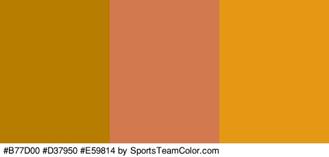 #B77D00 #D37950 #E59814 Colors