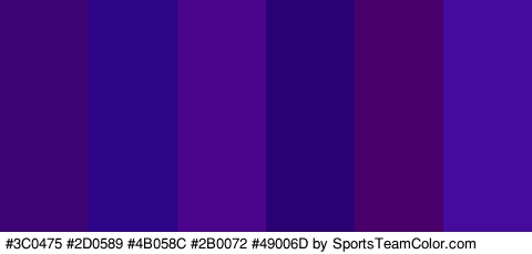 #3C0475 #2D0589 #4B058C #2B0072 #49006D #450B9E Colors