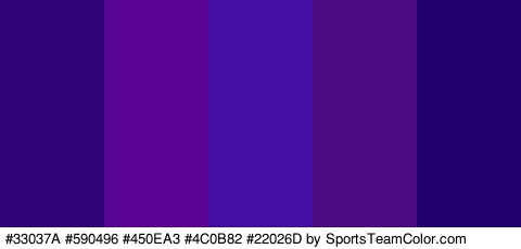 #33037A #590496 #450EA3 #4C0B82 #22026D Colors