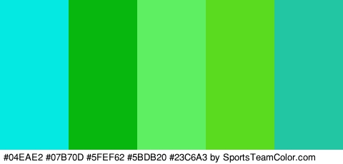 #04EAE2 #07B70D #5FEF62 #5BDB20 #23C6A3 Colors