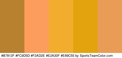 #B7812F #FC9D5D #F2AD2E #E2A30F #E89C55 Colors