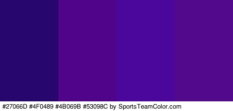 #27066D #4F0489 #4B069B #53098C Colors