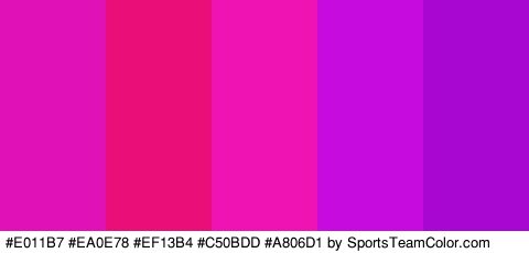 #E011B7 #EA0E78 #EF13B4 #C50BDD #A806D1 Colors