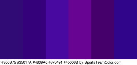 #300B75 #35017A #4809A0 #670491 #45006B #310589 Colors