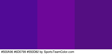 #500A96 #6D0799 #550D82 Colors