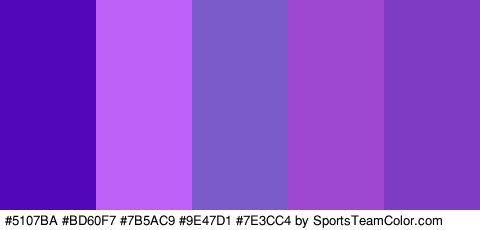 #5107BA #BD60F7 #7B5AC9 #9E47D1 #7E3CC4 Colors