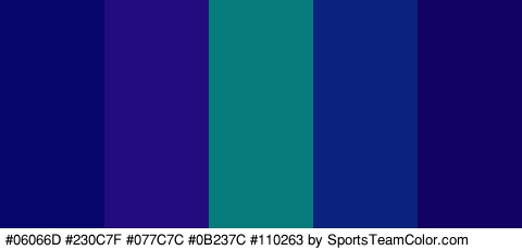 #06066D #230C7F #077C7C #0B237C #110263 Colors