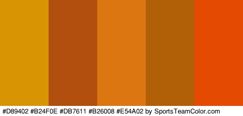 #D89402 #B24F0E #DB7611 #B26008 #E54A02 Colors