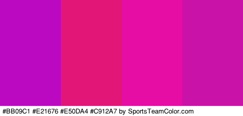 #BB09C1 #E21676 #E50DA4 #C912A7 Colors