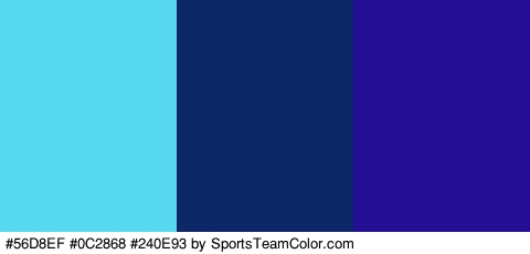 #56D8EF #0C2868 #240E93 Colors