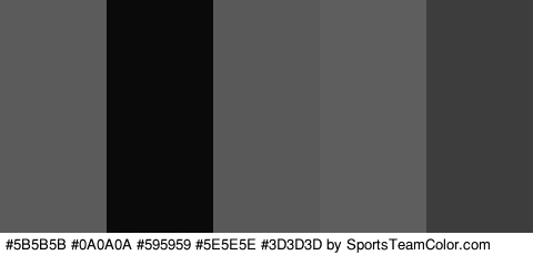 #5B5B5B #0A0A0A #595959 #5E5E5E #3D3D3D Colors